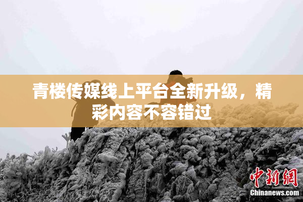 青楼传媒线上平台全新升级，精彩内容不容错过