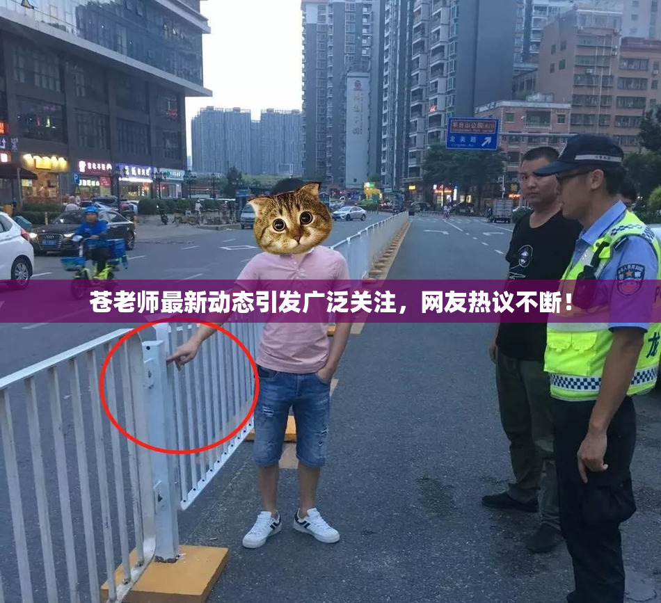 苍老师最新动态引发广泛关注，网友热议不断！