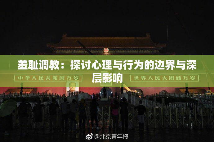 羞耻调教：探讨心理与行为的边界与深层影响