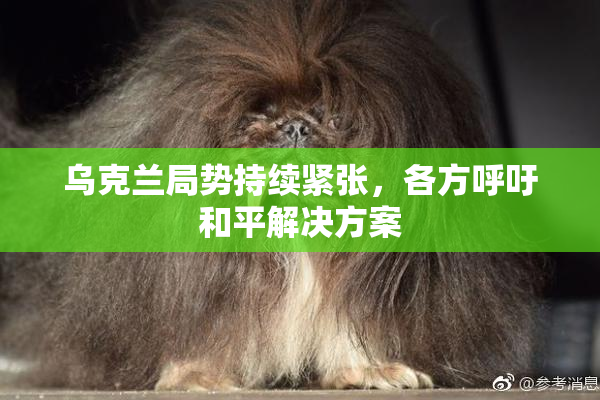乌克兰局势持续紧张，各方呼吁和平解决方案