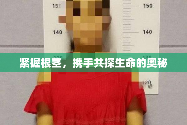 紧握根茎，携手共探生命的奥秘