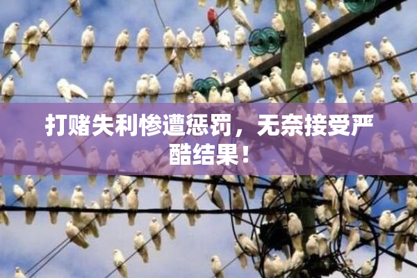 打赌失利惨遭惩罚，无奈接受严酷结果！