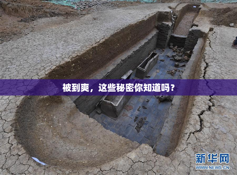 被到爽，这些秘密你知道吗？