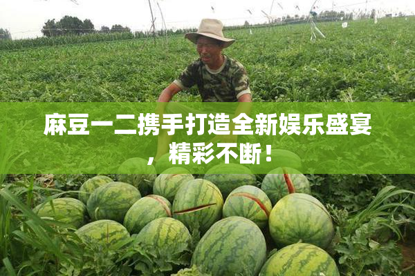 麻豆一二携手打造全新娱乐盛宴，精彩不断！