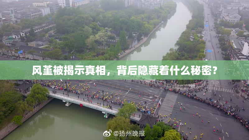 风堇被揭示真相，背后隐藏着什么秘密？