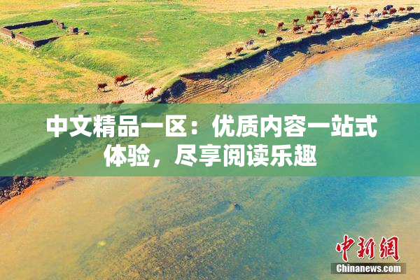 中文精品一区：优质内容一站式体验，尽享阅读乐趣