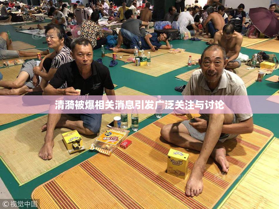 清漪被爆相关消息引发广泛关注与讨论