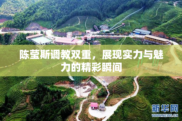 陈莹斯调教双重，展现实力与魅力的精彩瞬间