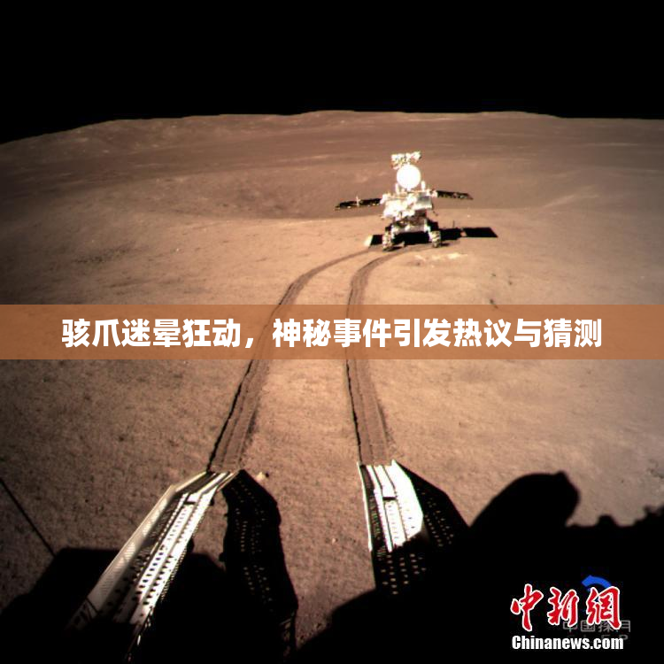 骇爪迷晕狂动，神秘事件引发热议与猜测