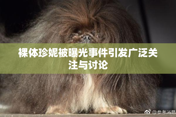 裸体珍妮被曝光事件引发广泛关注与讨论