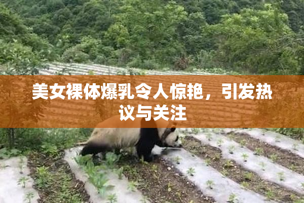 美女裸体爆乳令人惊艳，引发热议与关注