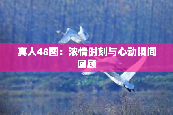 真人48图：浓情时刻与心动瞬间回顾