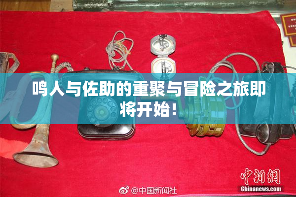 鸣人与佐助的重聚与冒险之旅即将开始！