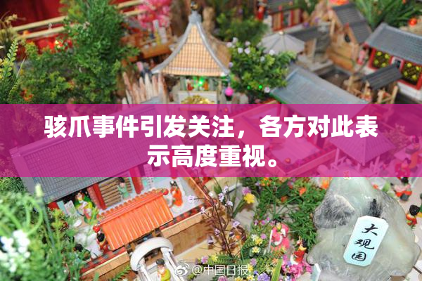 骇爪事件引发关注，各方对此表示高度重视。