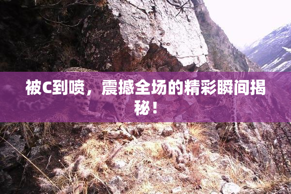 被C到喷，震撼全场的精彩瞬间揭秘！
