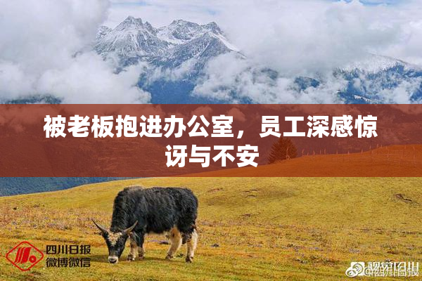 被老板抱进办公室，员工深感惊讶与不安