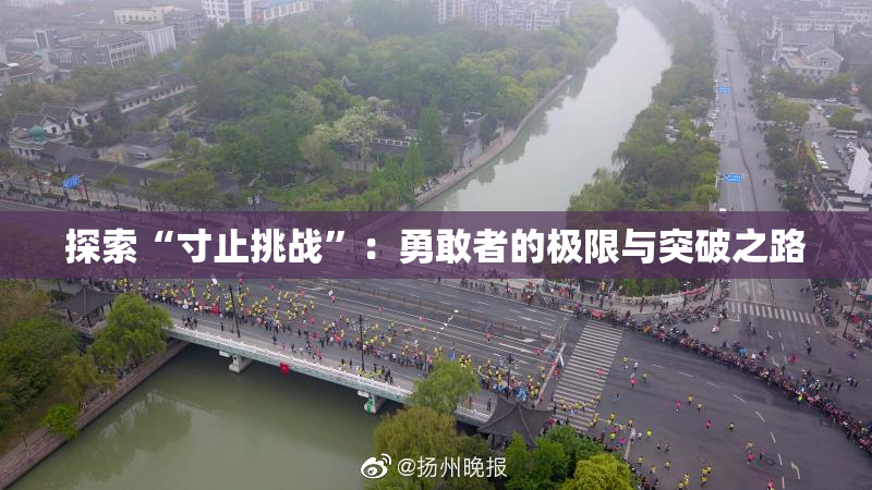 探索“寸止挑战”：勇敢者的极限与突破之路