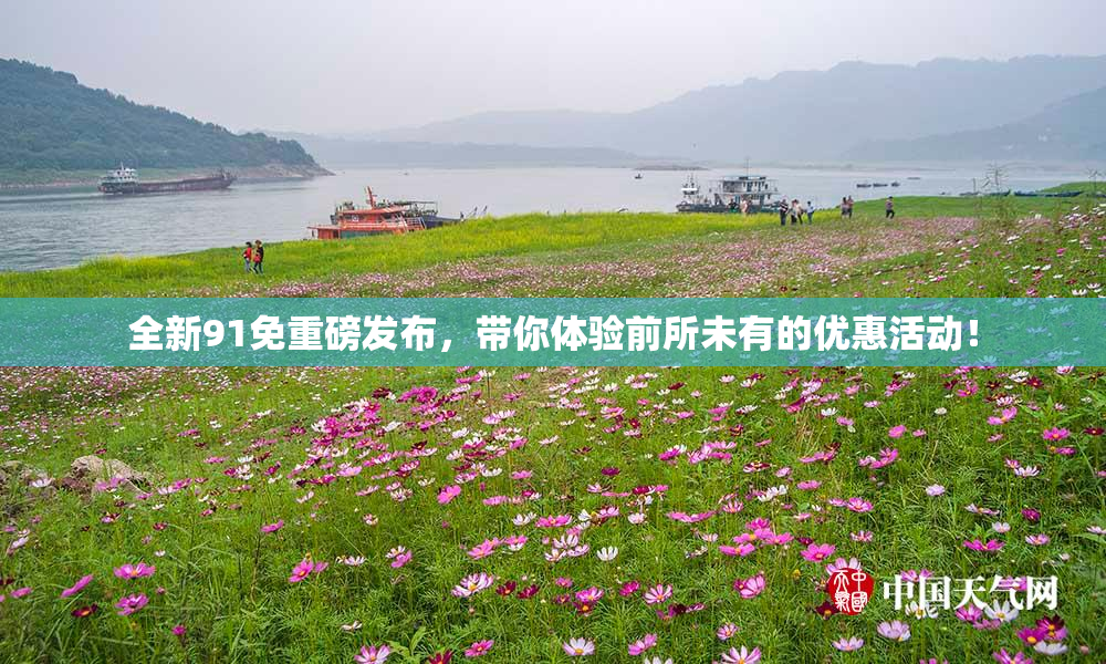全新91免重磅发布，带你体验前所未有的优惠活动！