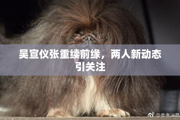 吴宣仪张重续前缘，两人新动态引关注