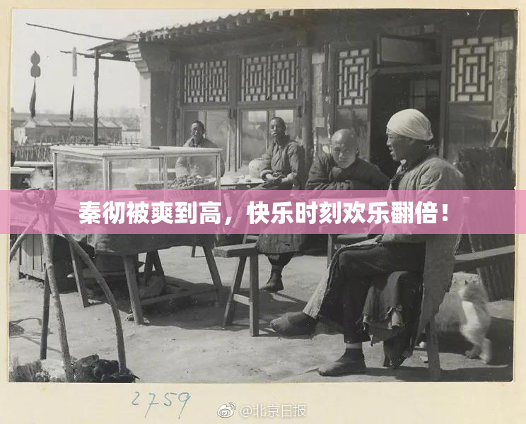 秦彻被爽到高，快乐时刻欢乐翻倍！