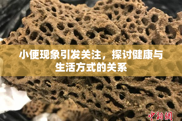 小便现象引发关注，探讨健康与生活方式的关系