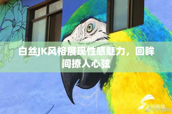 白丝JK风格展现性感魅力，回眸间撩人心弦