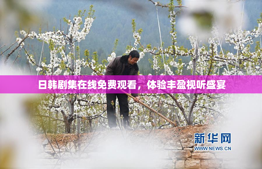 日韩剧集在线免费观看，体验丰盈视听盛宴