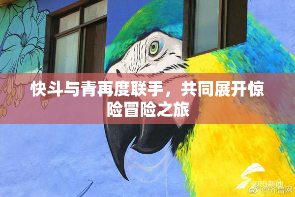 快斗与青再度联手，共同展开惊险冒险之旅