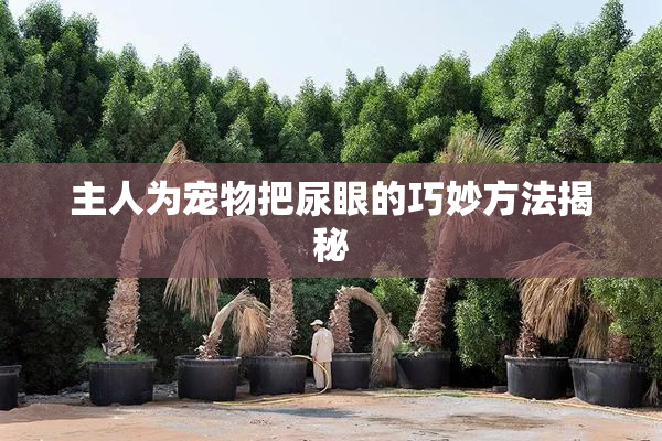主人为宠物把尿眼的巧妙方法揭秘
