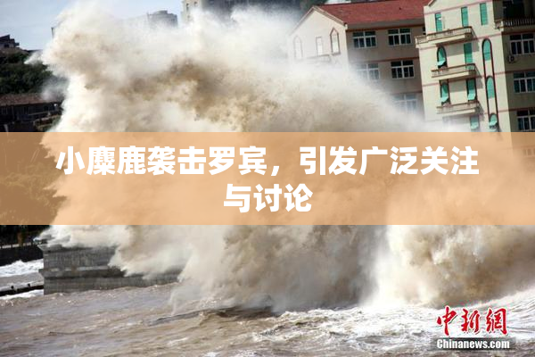 小麋鹿袭击罗宾，引发广泛关注与讨论
