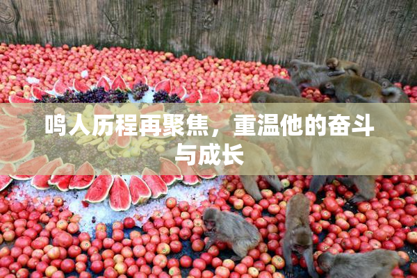 鸣人历程再聚焦，重温他的奋斗与成长