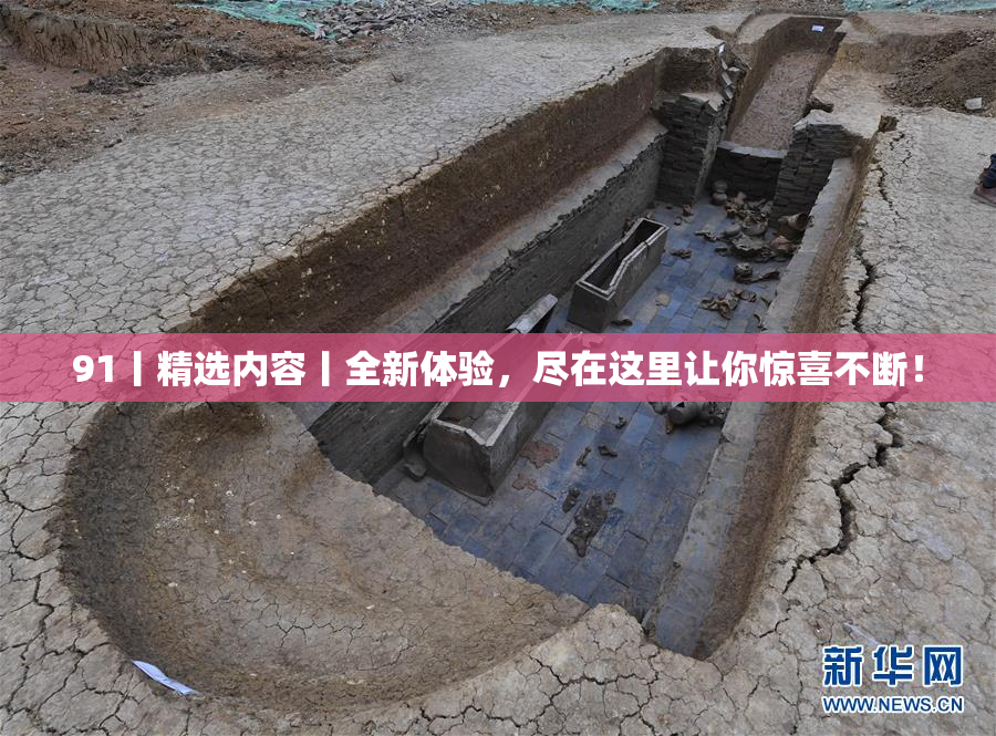91丨精选内容丨全新体验，尽在这里让你惊喜不断！