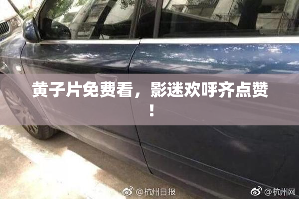 黄子片免费看，影迷欢呼齐点赞！