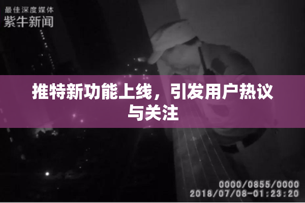 推特新功能上线，引发用户热议与关注