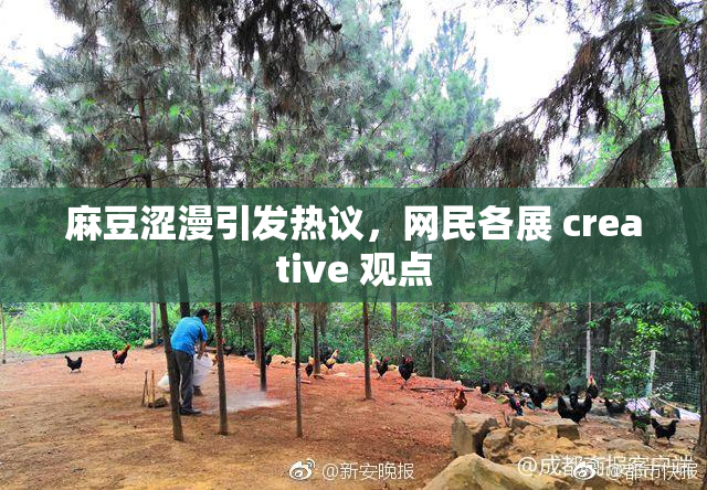 麻豆涩漫引发热议，网民各展 creative 观点