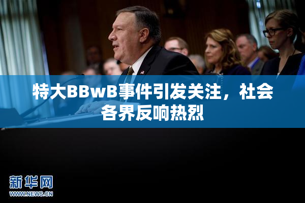 特大BBwB事件引发关注，社会各界反响热烈
