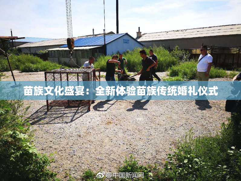 苗族文化盛宴：全新体验苗族传统婚礼仪式