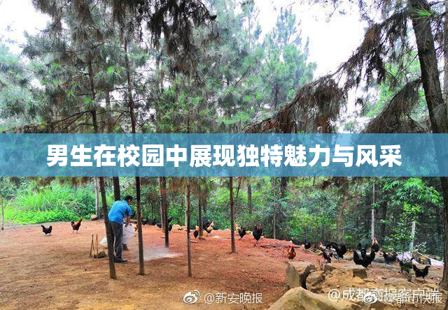 男生在校园中展现独特魅力与风采