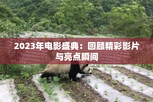 2023年电影盛典：回顾精彩影片与亮点瞬间