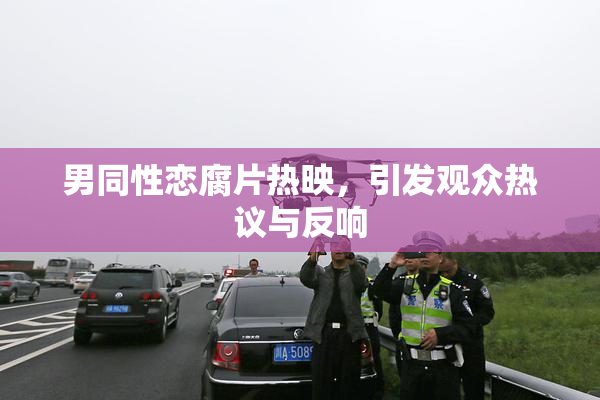男同性恋腐片热映，引发观众热议与反响