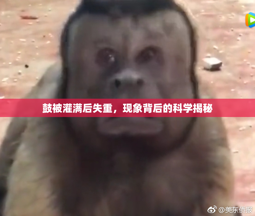 鼓被灌满后失重，现象背后的科学揭秘