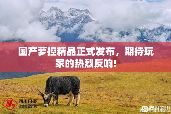 国产萝控精品正式发布，期待玩家的热烈反响!
