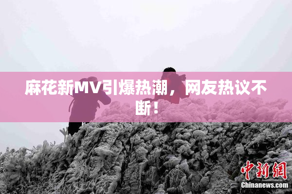 麻花新MV引爆热潮，网友热议不断！