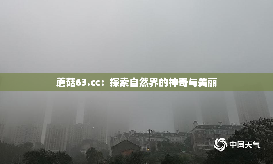 蘑菇63.㏄：探索自然界的神奇与美丽