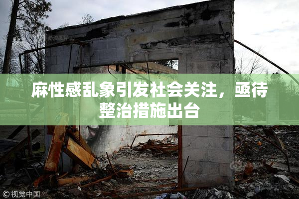 麻性感乱象引发社会关注，亟待整治措施出台