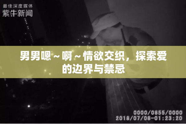 男男嗯～啊～情欲交织，探索爱的边界与禁忌
