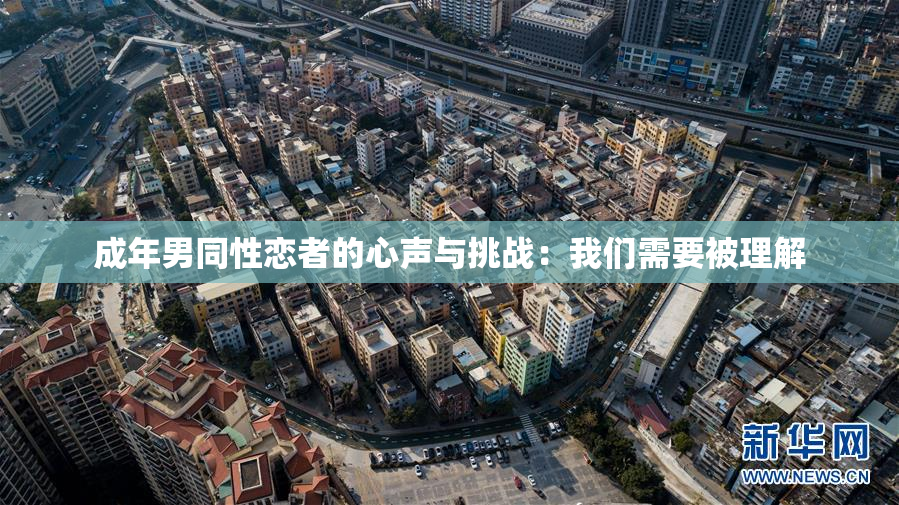 成年男同性恋者的心声与挑战：我们需要被理解