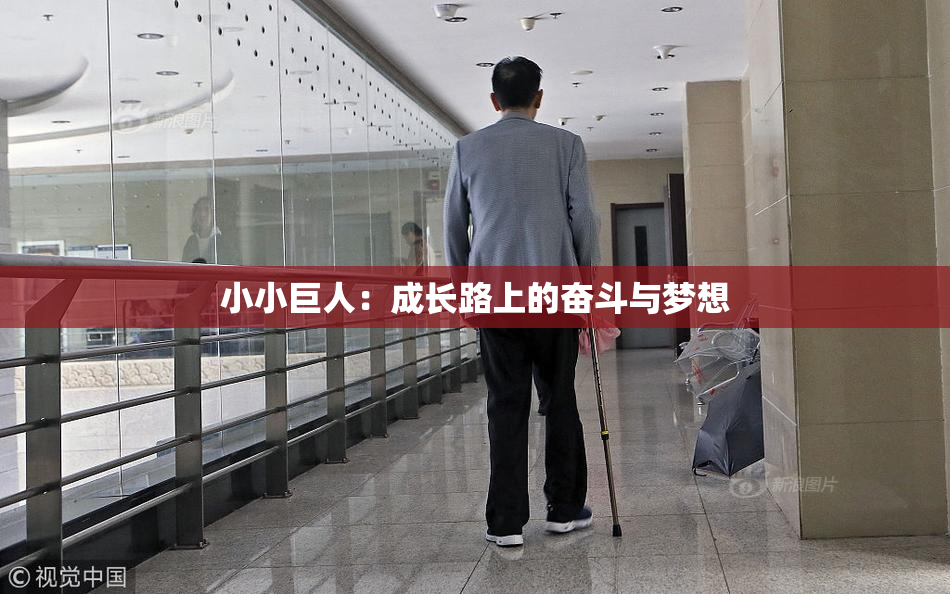 小小巨人：成长路上的奋斗与梦想