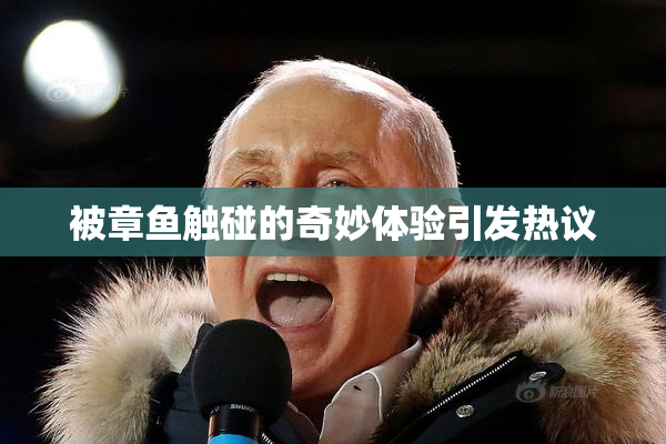 被章鱼触碰的奇妙体验引发热议