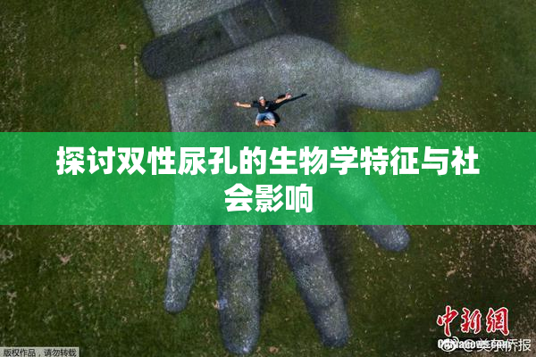 探讨双性尿孔的生物学特征与社会影响